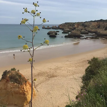 Casa Tres Palmeiras 3* Portimao