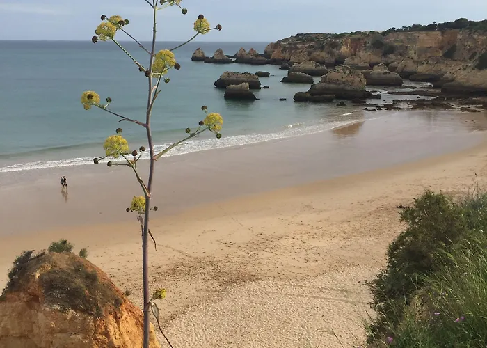 Casa Tres Palmeiras 3* Portimão