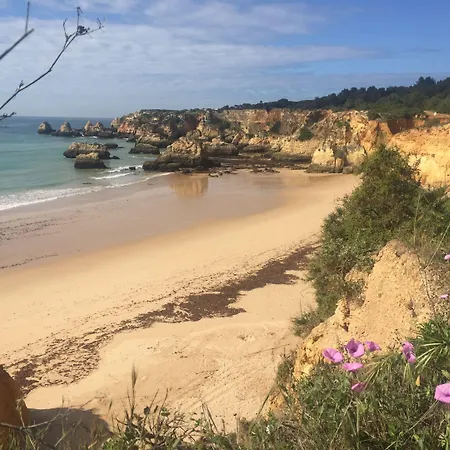 Casa Tres Palmeiras Bed & Breakfast 3*